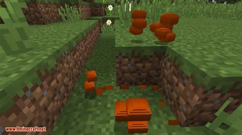 Just Another Ruby Mod 1.16.5/1.15.2 (Ruby Ore, Ruby Block) - 9Minecraft.Net