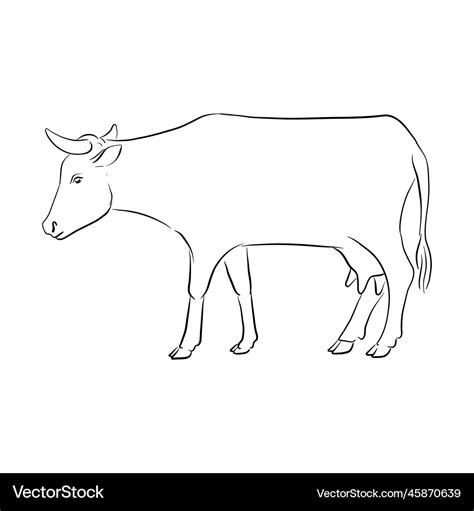 Drawing cow domestic animal Royalty Free Vector Image