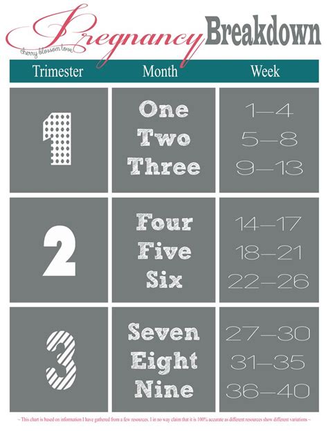 breakdown of pregnancy trimesters