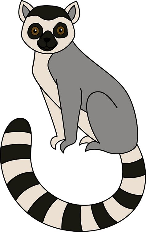 Lemur clipart. Free download transparent .PNG | Creazilla