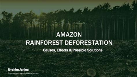 Amazon Rainforest Deforestation