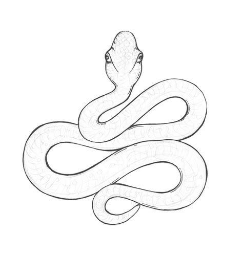 Cartoon Snake Drawing at GetDrawings | Free download