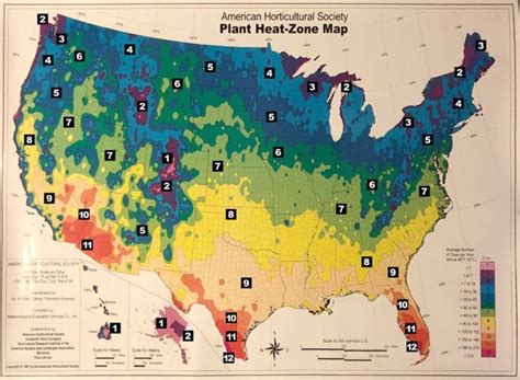 Learn How To Plant And Care for Your Dahlias in 2020 | Fragrant garden, Plant combinations, Best ...