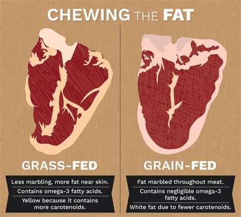 Our Grass-Fed Beef - Kansas City Grass-Fed Beef