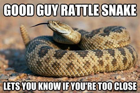 ~Snake Memes~ | Herps and Reptiles Amino