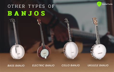 Types Of Banjos - Guitar Tuner - Guitar Tunio