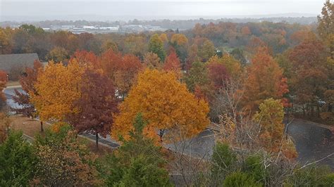 PHOTO GALLERY: Fall foliage in mid-Missouri