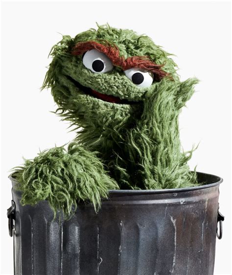 Featured Customer – Oscar the Grouch – Squarespace | Oscar the grouch, Grouch, Sesame street