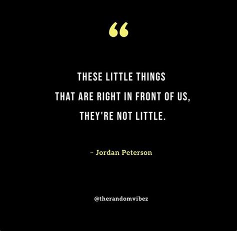 Best Jordan Peterson Quotes (Author of 12 Rules for Life) – The Random Vibez