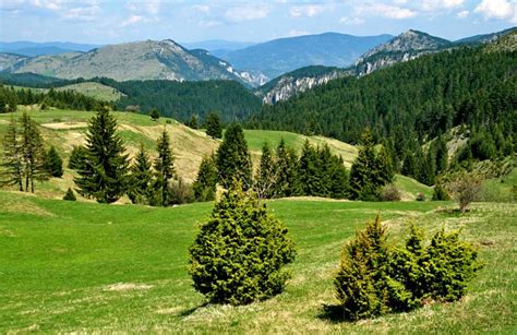 Rhodope Mountains, Bulgaria. Hiking & Trekking Tours. Guided & Self-guided.