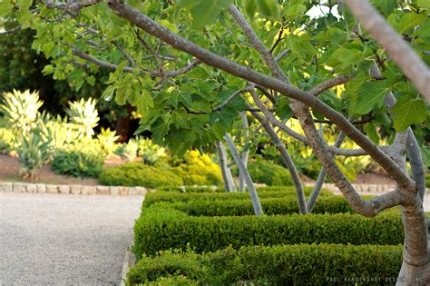 White Fig http://www.paulhendershotdesign.com/ | Garden bridge, Outdoor structures, Garden