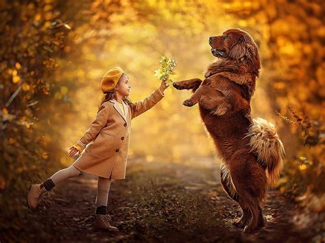 Little Girl, Dog, Autumn, Playing, Girl, Leaves, Nature, HD wallpaper ...