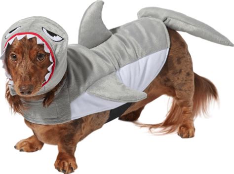 Shark Dog Costumes | 9 Jaws-Inspired Looks for Your Pup This Halloween