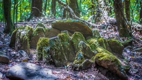 93+ most beautiful images in Mawphlang Sacred Forest, Meghalaya, India