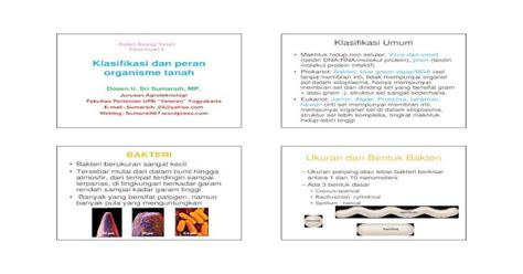 Klasifikasi dan peran organisme tanah - Sumarsih07's ... · PDF fileProtozoa: Protista mirip sel ...