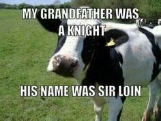 Corny memes Funny Captions, Funny Quotes, Cow Quotes, That's Hilarious, Hilarious Pictures