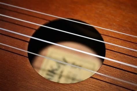 How Often To Change Ukulele Strings, and Why You Should – Fret Expert