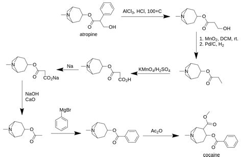 A theoretical synthesis of Cocaine from Atropine : r/bizzybees