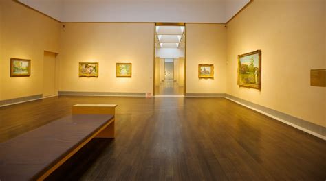 Visit Houston Museum of Fine Arts in Houston | Expedia