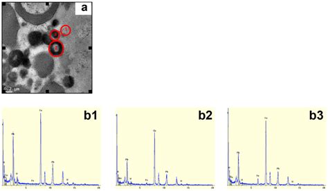 Hemozoin detection. (a) TEM image of hemozoin pellets of untreated S ...