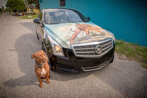 Jaguars fan wraps hood of car with a mostly naked Gardner Minshew ...