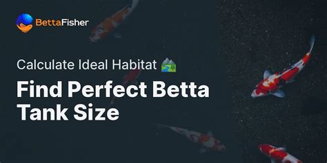 Betta Fish Tank Size Calculator | Determine Ideal Tank Size