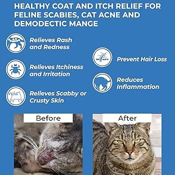 Cat Mange, Scabies Treatment Itchy Skin Remedy //, 44% OFF