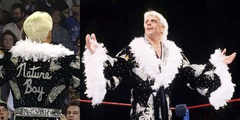 Ric Flair's Iconic Butterfly Robe (& How The Nature Boy Lost It)