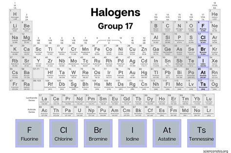 Halogen Elements - List and Facts | Electron configuration, Electron affinity, Nuclear medicine