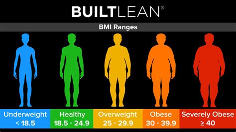 BMI Chart Men