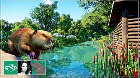 🐘 Building a Natural Beaver River & Beaver Dam Habitat in City Zoo ...