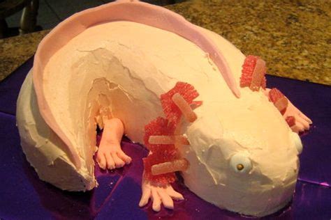 How to make an Axolotl Birthday Cake | Foodilicious | Birthday cake, Unique birthday cakes ...