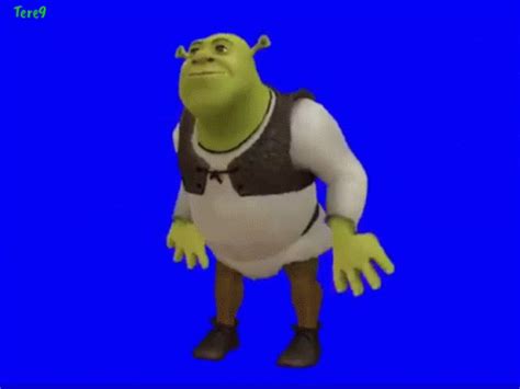 Shrek GIF - Shrek - Descobrir e Compartilhar GIFs