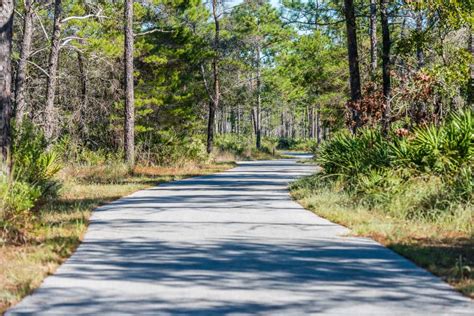 Topsail Hill Preserve State Park | SoWal.com