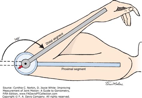 Basic Concepts | Measurement of Joint Motion: A Guide to Goniometry, 5e ...