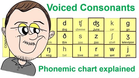 Voiced Consonants - phonetic chart explained DELTA TESOL CELTA - YouTube