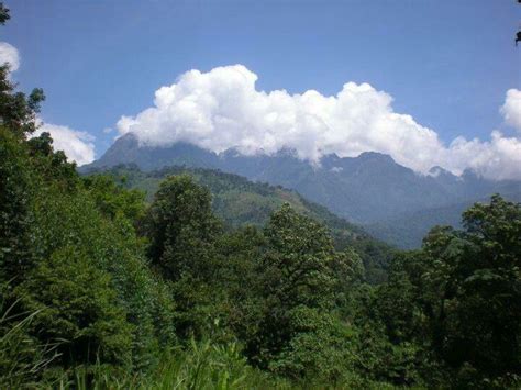 Mountains in Uganda | Scenic views, Scenic, Mountains