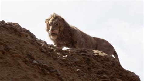 Bristol Entertainment 😣😜😊 The Lion King: How Mufasa's Death Is Different In The Remake