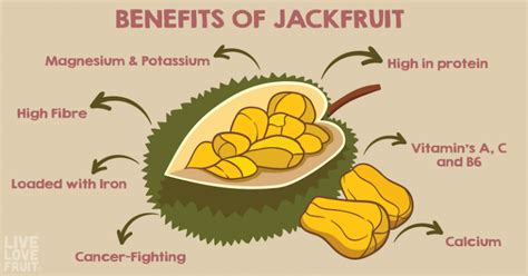 Here’s Why Everyone’s Talking About and Eating Jackfruit All of A Sudden - Live Love Fruit