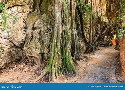 Romantic Trail To Railay Beach through the Caves on Railay Beach. Krabi, Thailand Stock Image ...