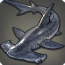 Oddly Delicate Hammerhead Shark - Gamer Escape's Final Fantasy XIV (FFXIV, FF14) wiki