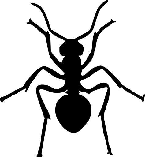 Ant silhouette - Openclipart