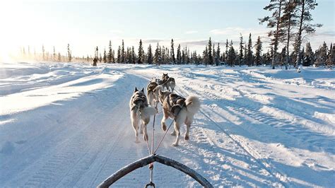 5 magical winter lodges in the Swedish Lapland