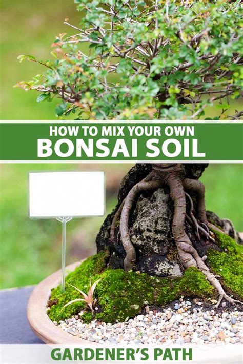 How to Mix Your Own Bonsai Soil to Grow Healthy Plants