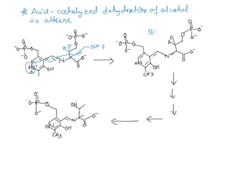 SOLVED: The final step in threonine synthesis is catalyzed by PLP-dependent enzyme called ...