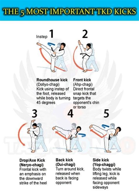 taekwondo moves names - Google Search | Taekwondo, Martial, Martial arts techniques