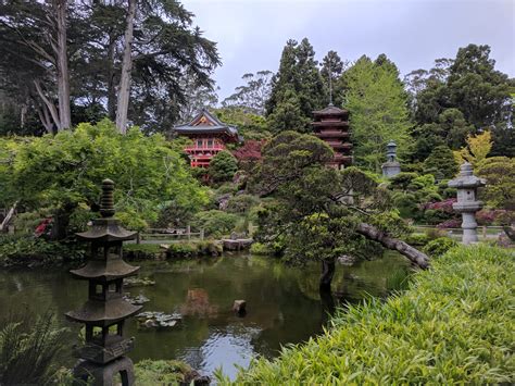 Japanese Tea Garden | Niral's Photoblog