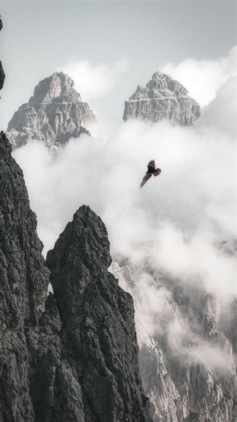 1080x1920 Bald Eagle Flying Through Clouds And Mountains 4k Iphone 7,6s,6 Plus, Pixel xl ,One ...