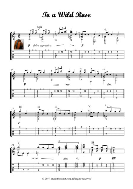 To A Wild Rose Guitar Solo By Edward MacDowell (1861-1908) - Digital Sheet Music For Guitar Tab ...