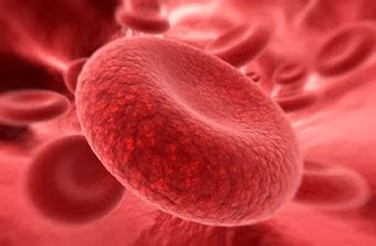 Red Blood Cell Disorders and Diseases: An Overview | Health and Well ...